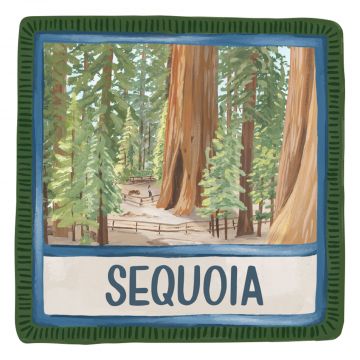 Sequoia Decal